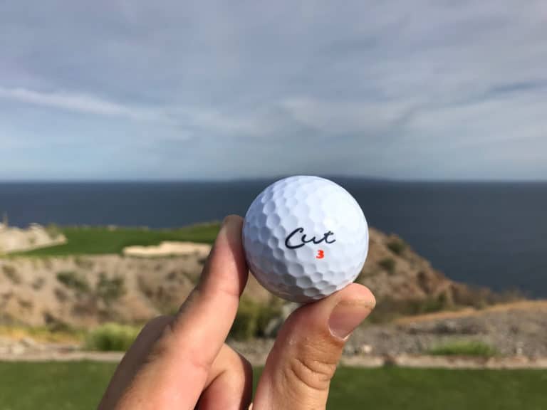 Cut Golf Blue and Grey Balls