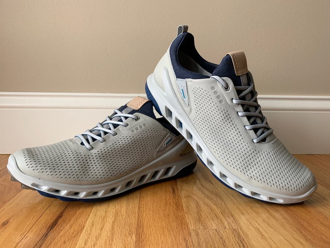 ECCO BIOM Pro Shoes - Independent Golf
