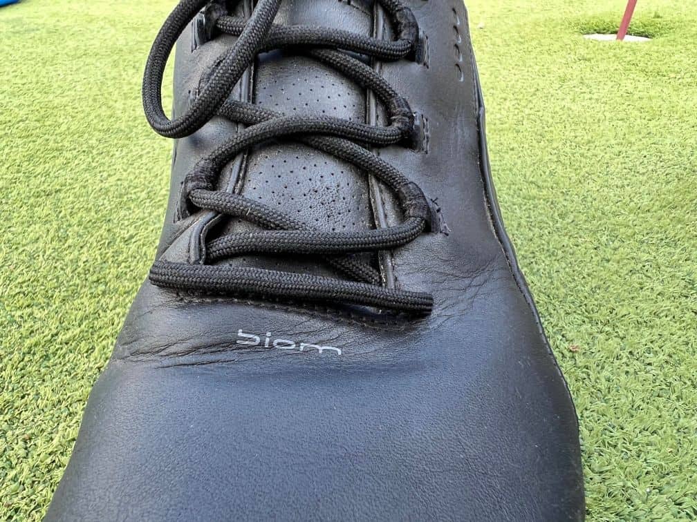 ECCO BIOM G3 Golf Shoes Review - Independent Golf Reviews