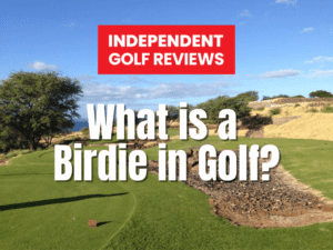 What is a Birdie in Golf?