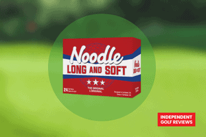 Noodle Long and Soft