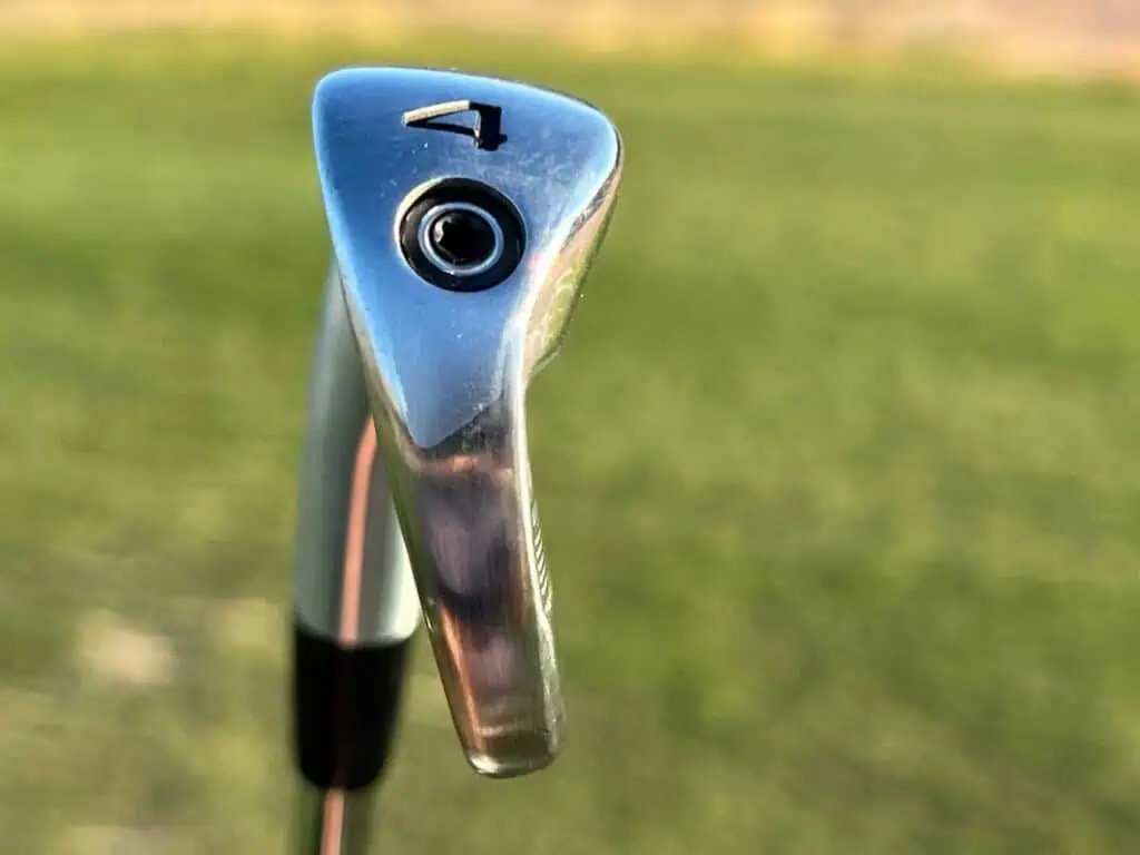 This image has an empty alt attribute; its file name is IMG_8855.jpg