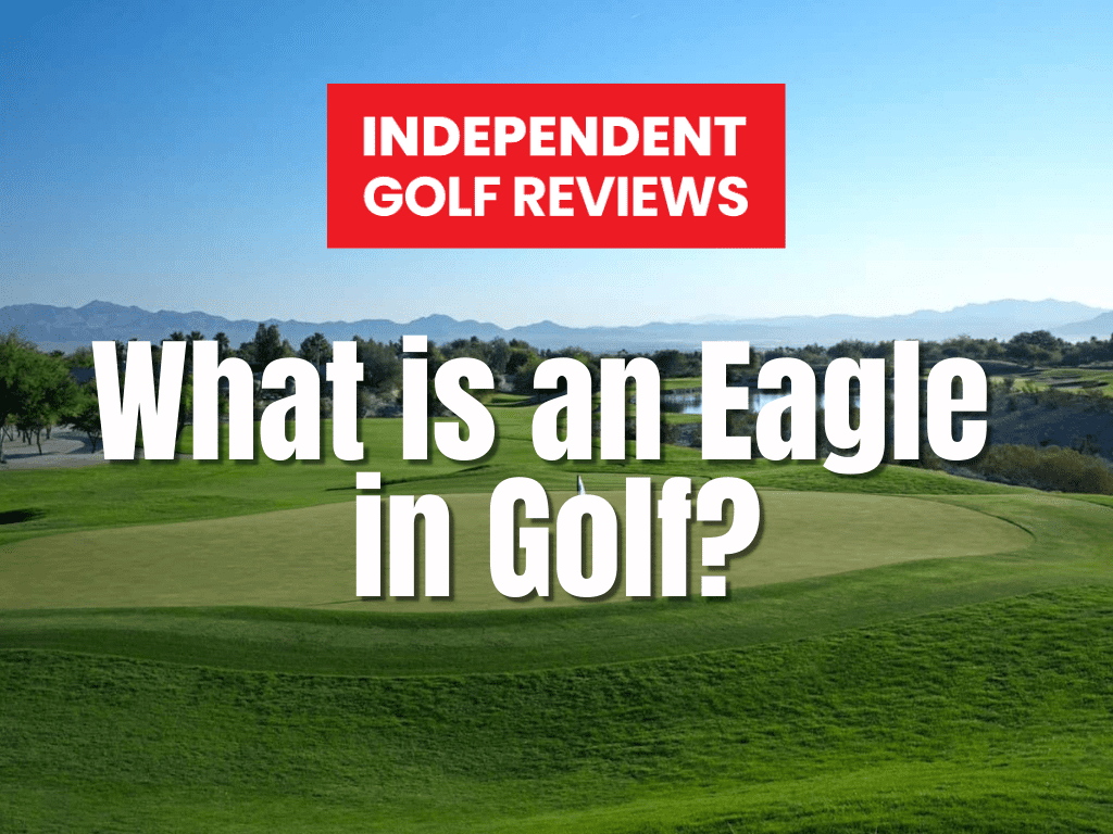 What Is An Eagle In Golf? Explained - Independent Golf Reviews