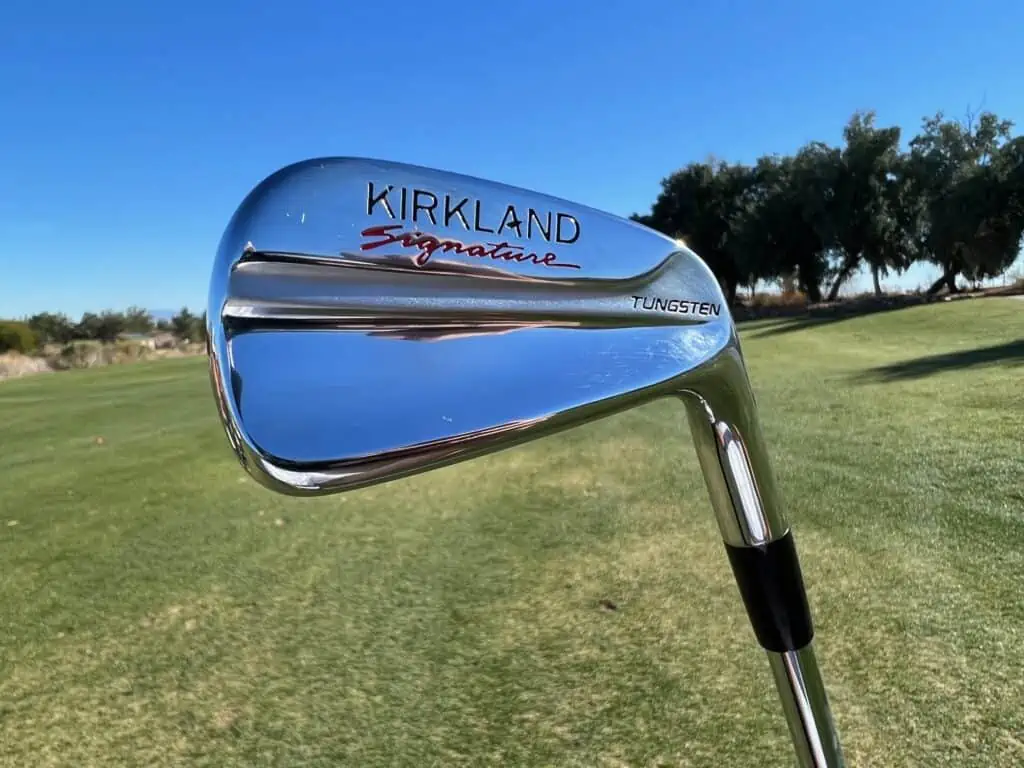 Back of a Kirkland Signature 8-iron on the fairway