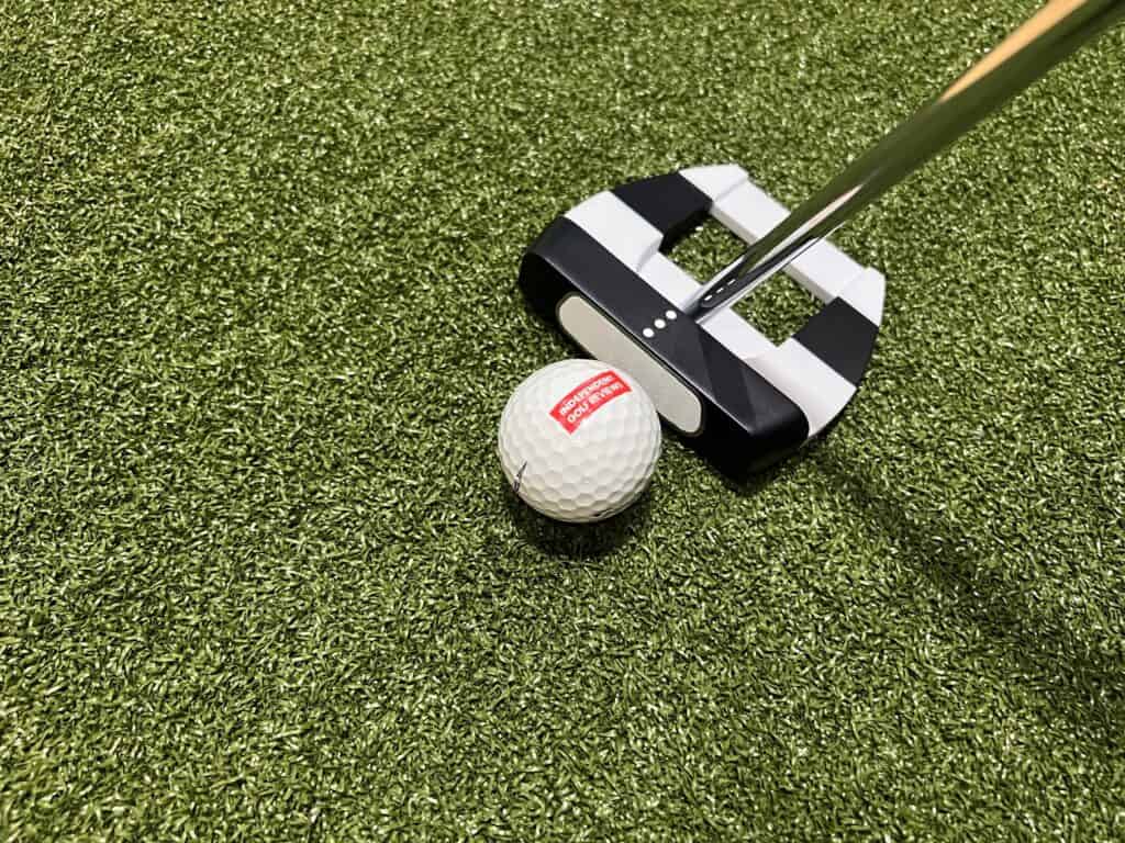 Jailbird putter at address behind a ball on the practice green