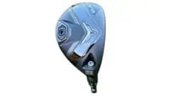 Cobra DS Adapt Hybrid