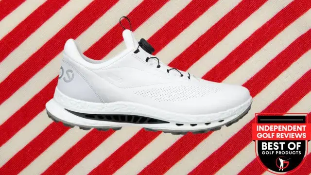 ECCO Mens Biom C5 BOA Golf Shoes