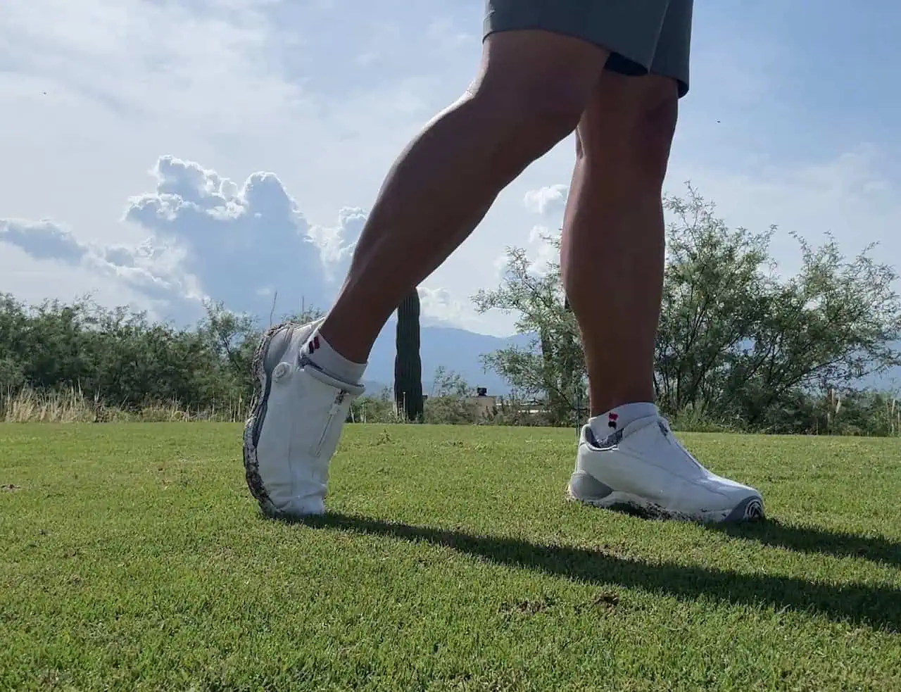 Adidas CODECHAOS 27 BOA Golf Shoes Review: Grippy Spikeless