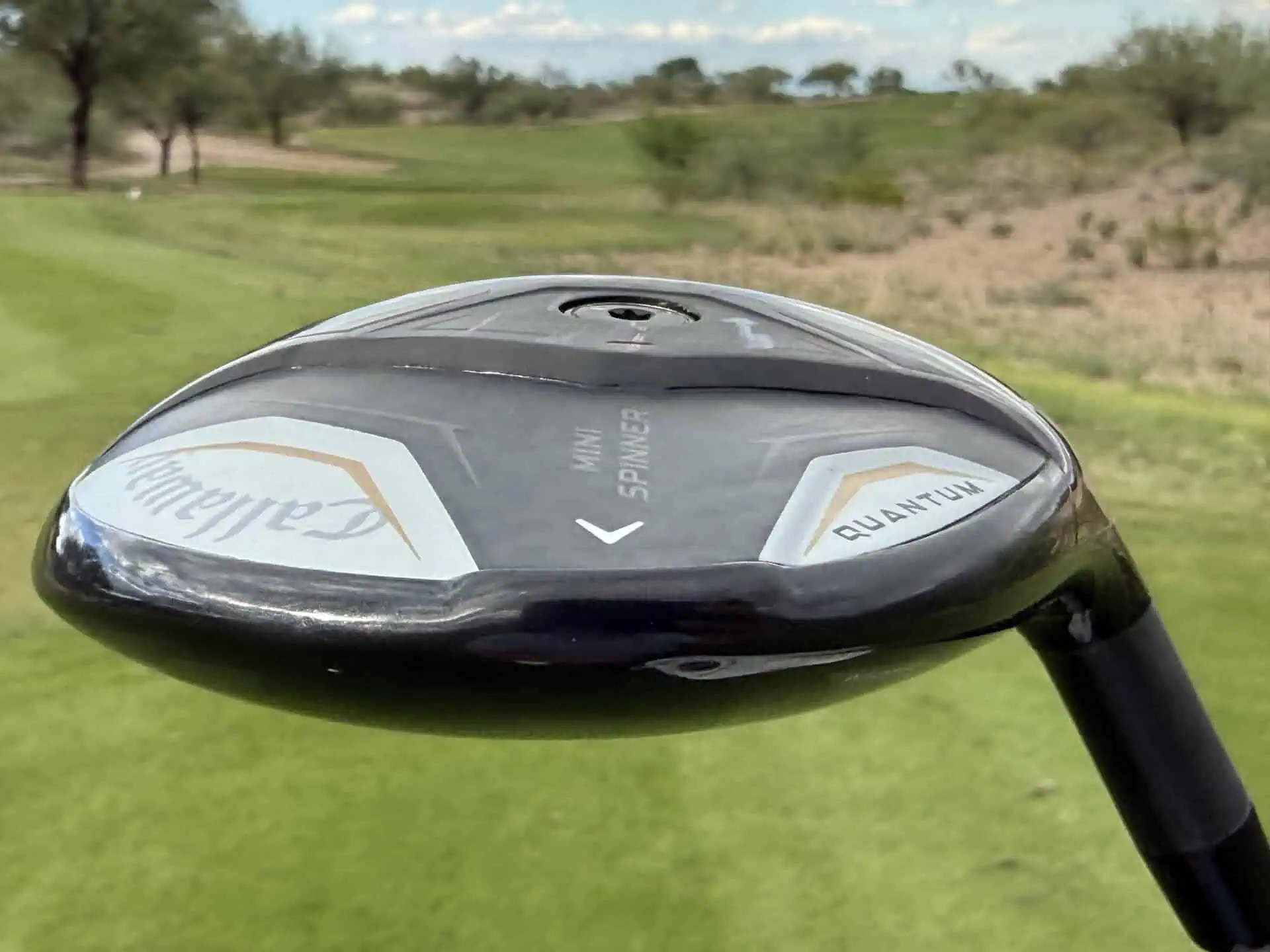 Front view of the Mini Spinner’s step sole